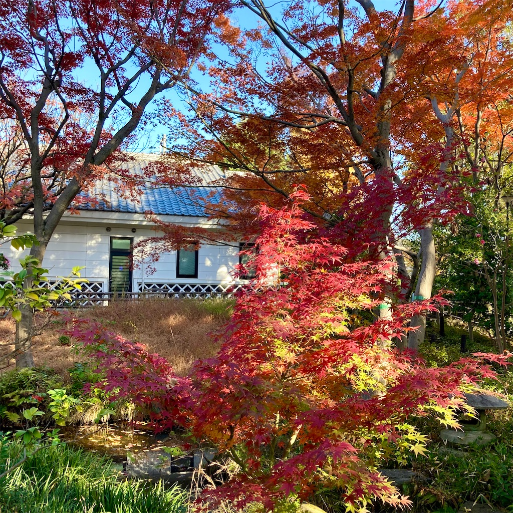 f:id:koshikakeol:20231210133128j:image