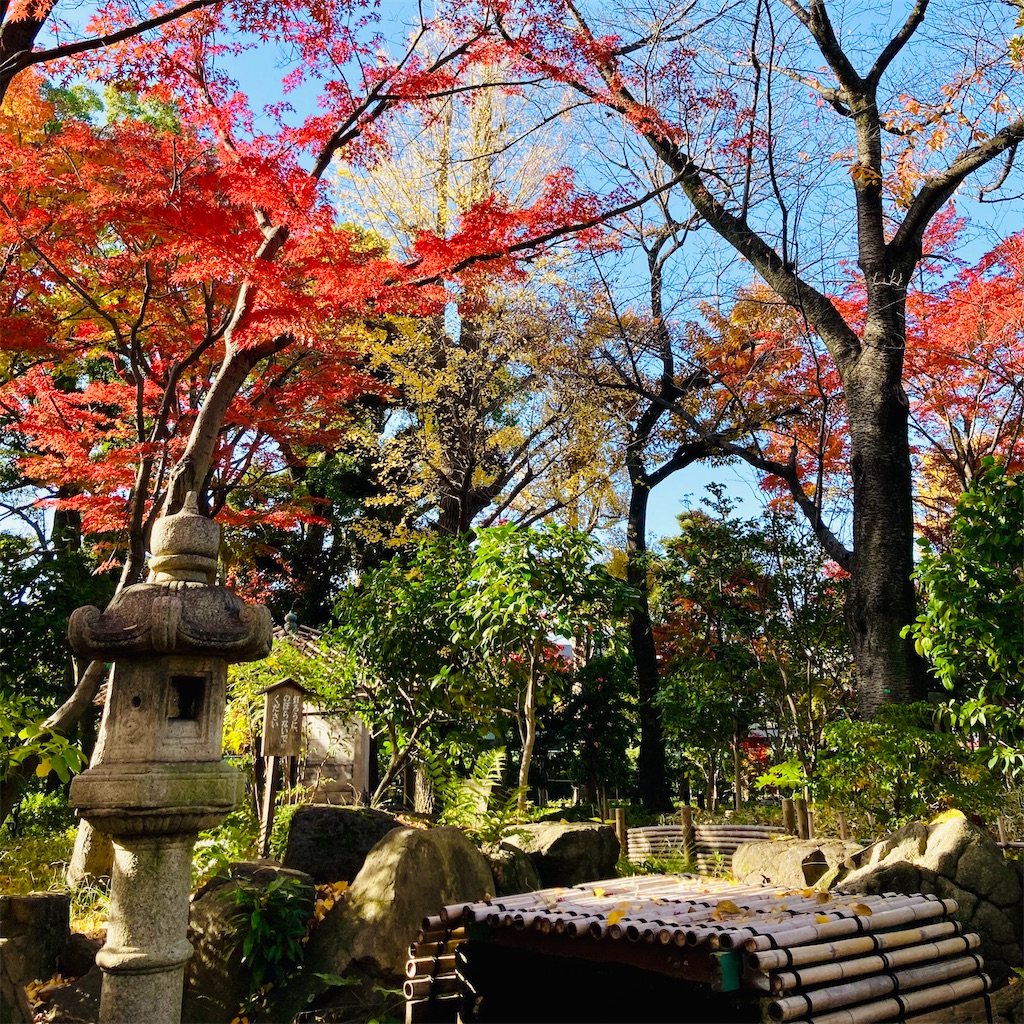 f:id:koshikakeol:20231210133229j:image