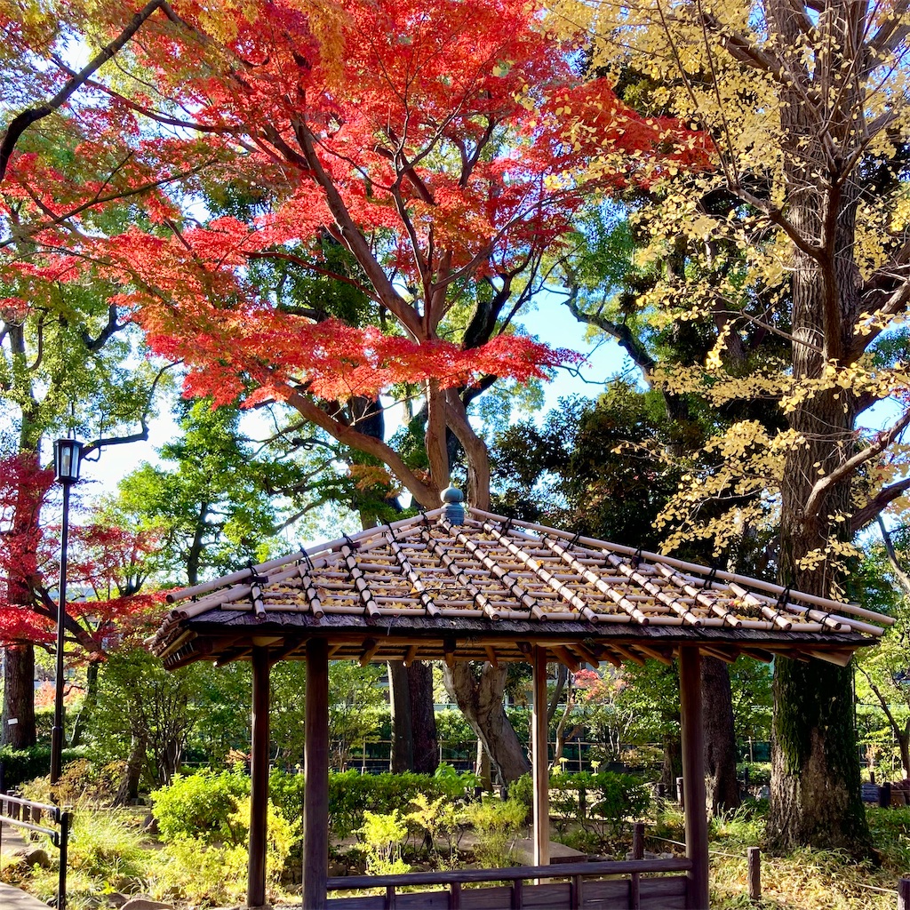 f:id:koshikakeol:20231210133246j:image