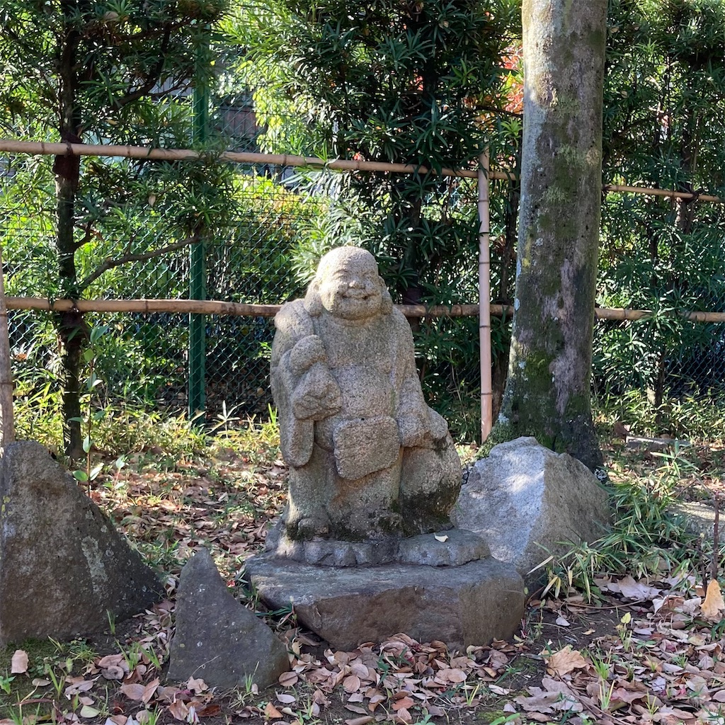 f:id:koshikakeol:20231210133250j:image