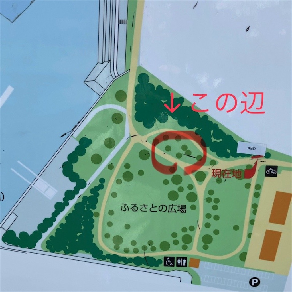 f:id:koshikakeol:20240224133710j:image