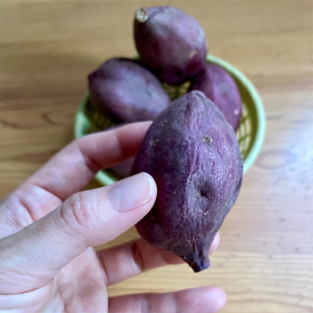 f:id:koshikakeol:20240331172147j:image