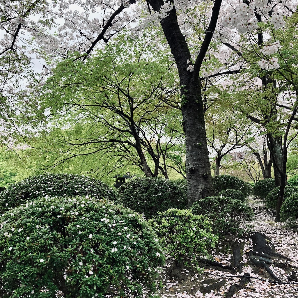f:id:koshikakeol:20240408210141j:image
