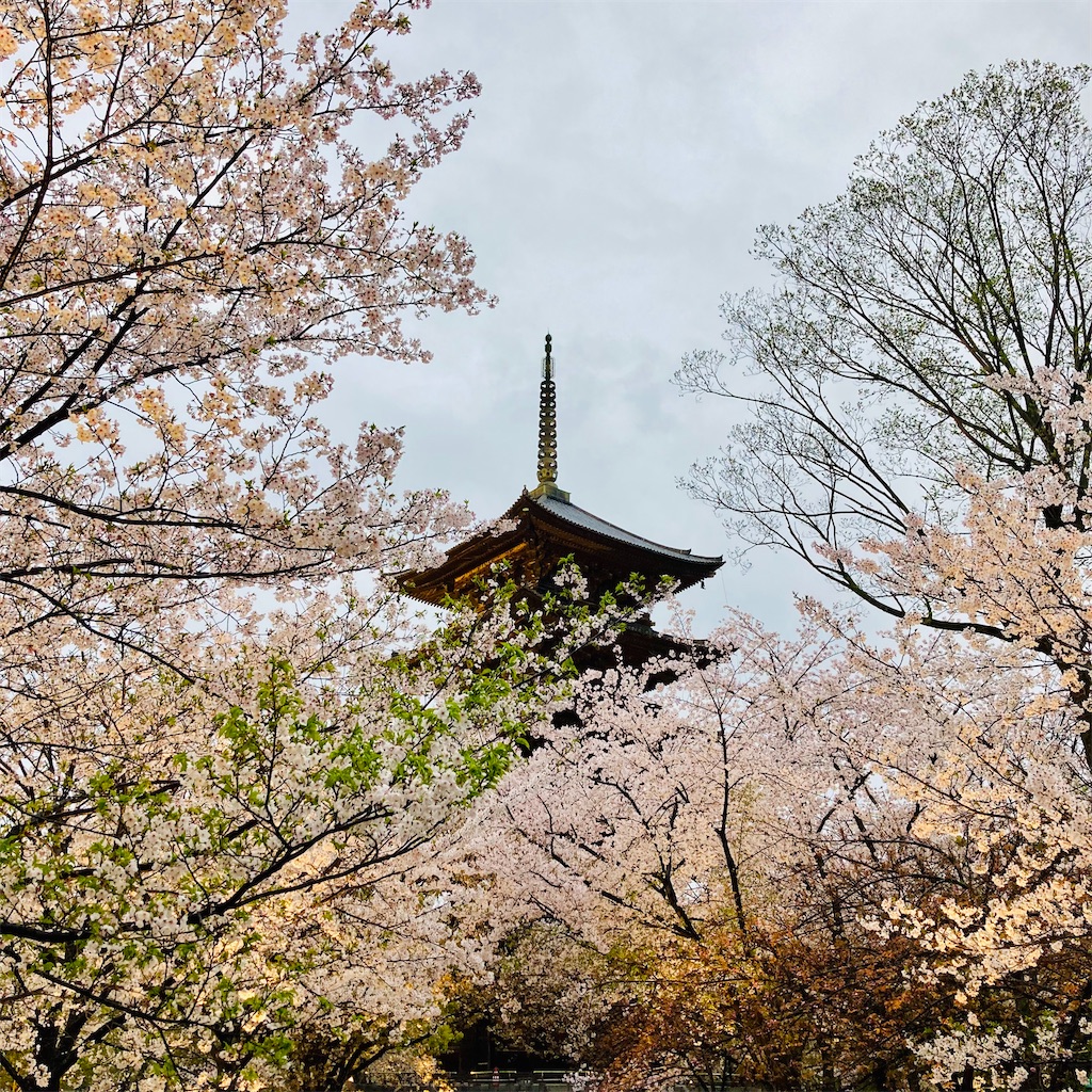f:id:koshikakeol:20240408211324j:image