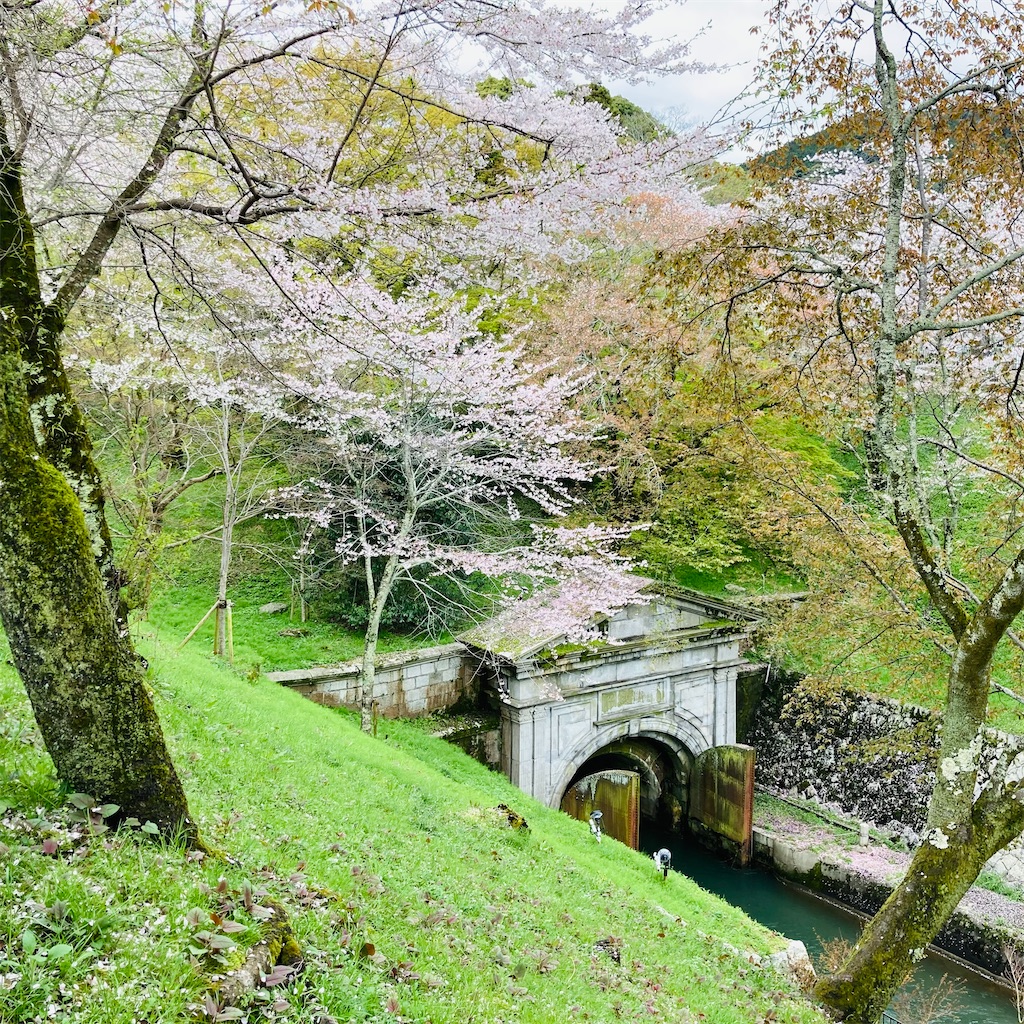f:id:koshikakeol:20240409204627j:image