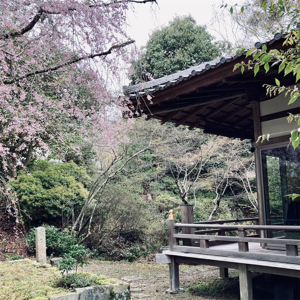 f:id:koshikakeol:20240409210453j:image