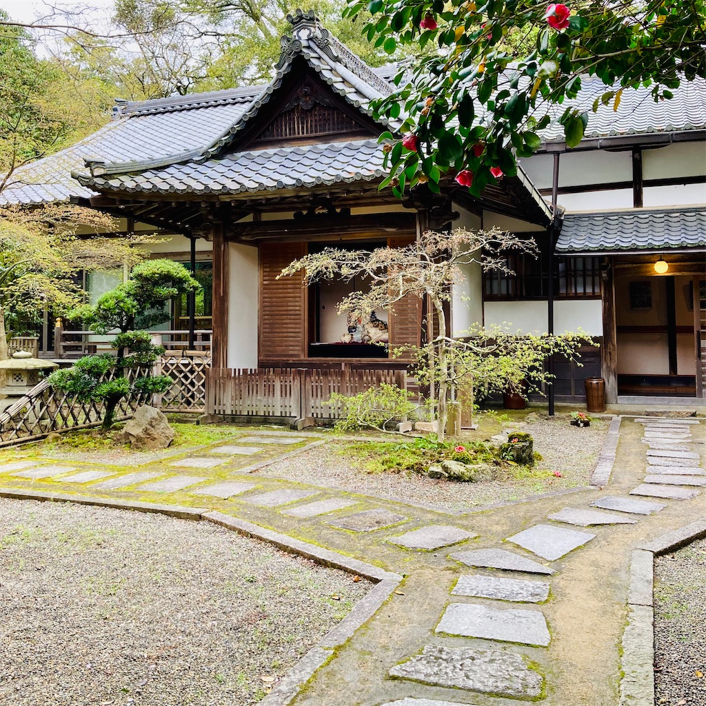 f:id:koshikakeol:20240409210531j:image