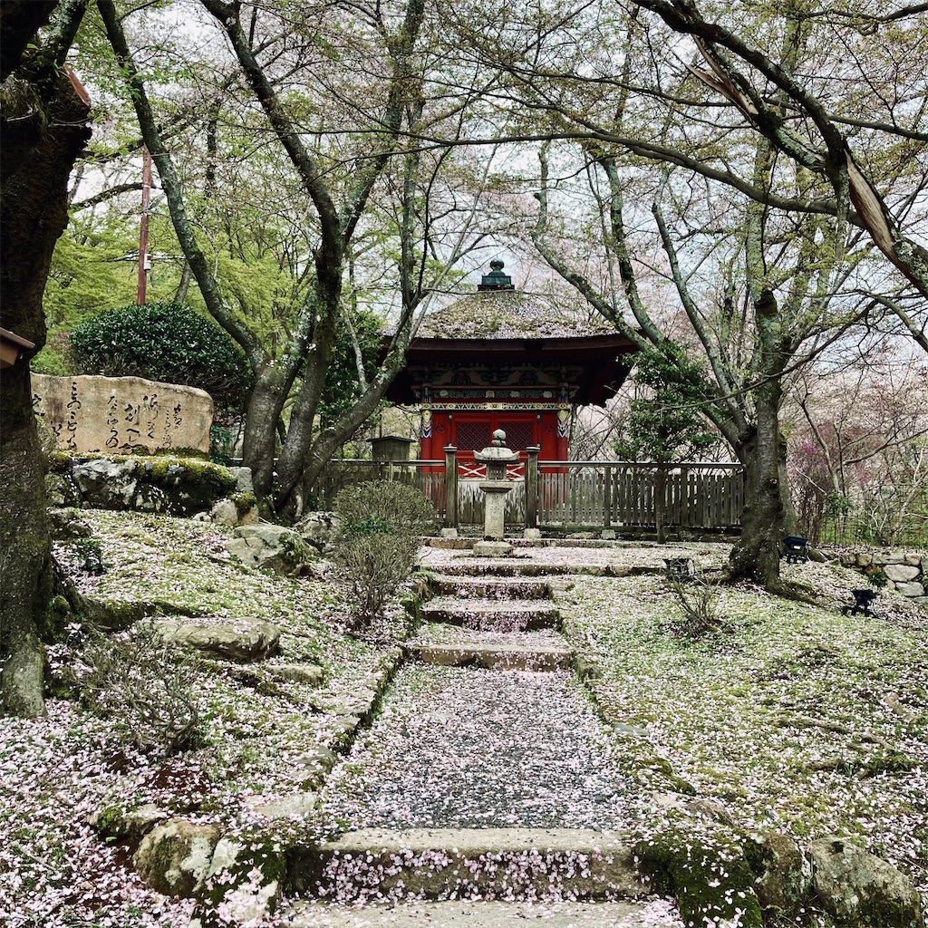 f:id:koshikakeol:20240411091630j:image