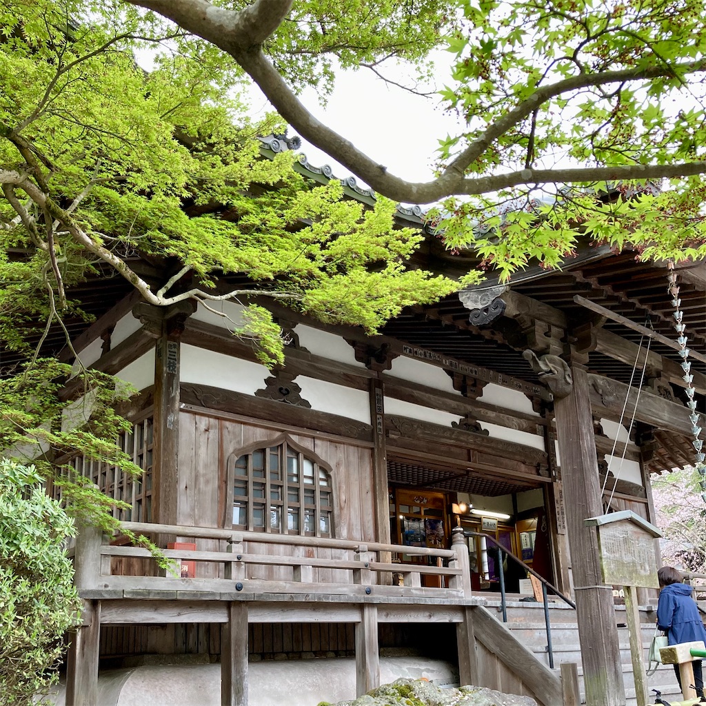 f:id:koshikakeol:20240411094029j:image