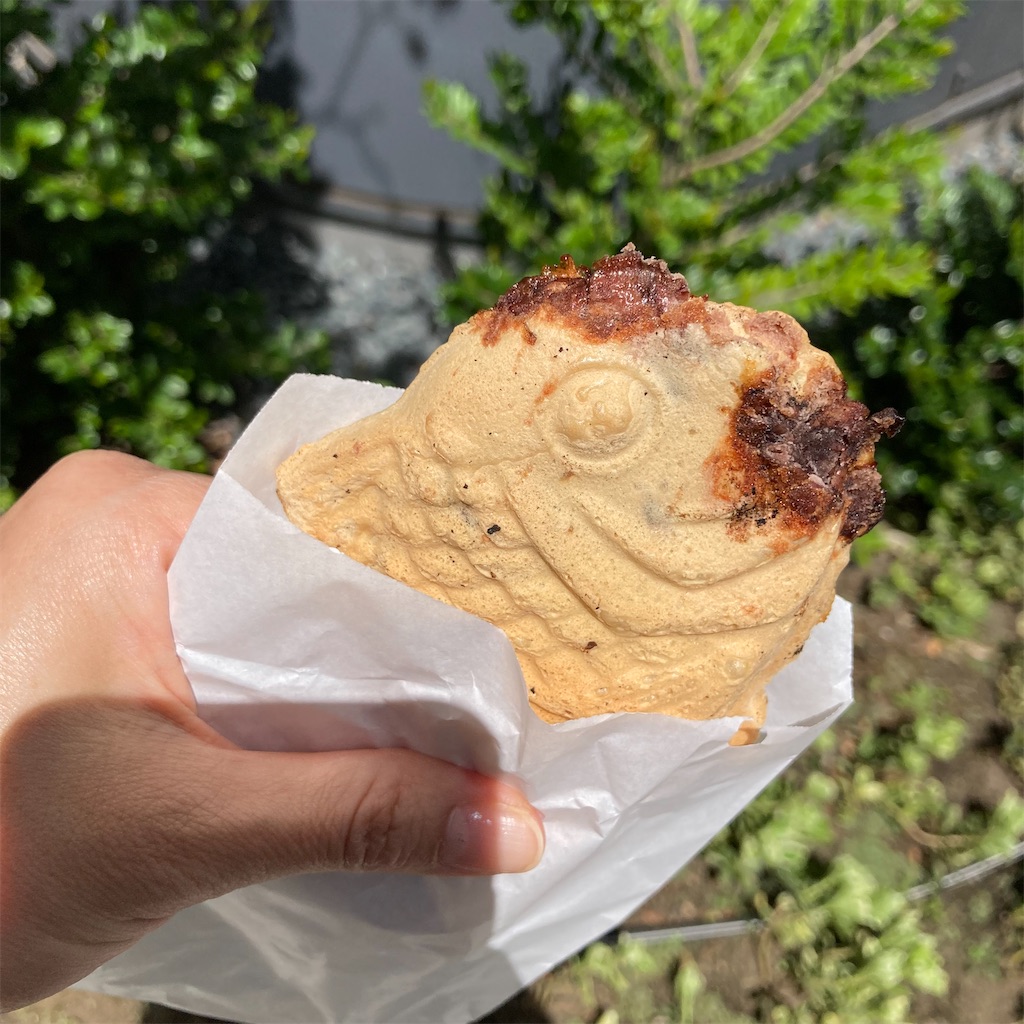 f:id:koshikakeol:20240419125726j:image