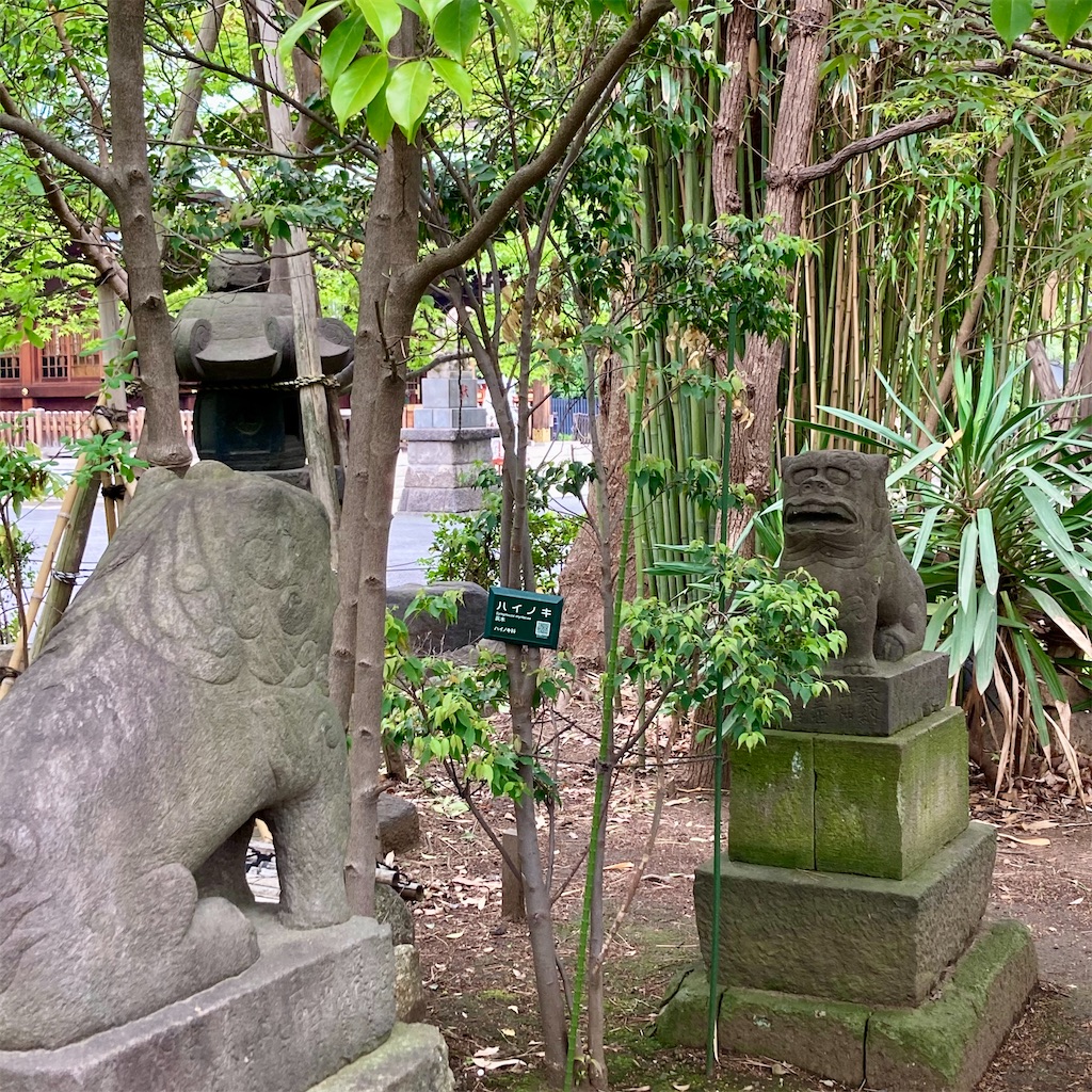 f:id:koshikakeol:20240519120415j:image