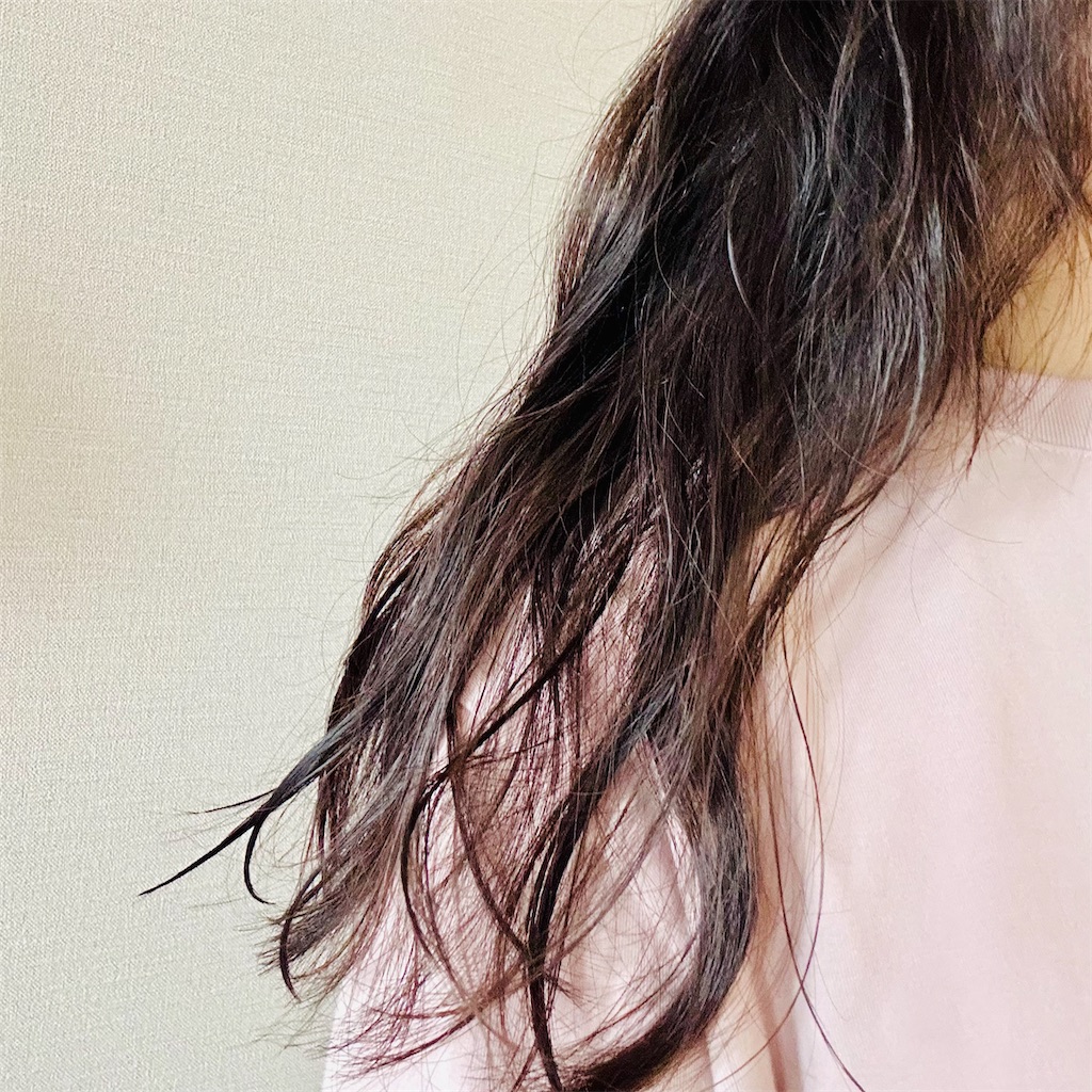 f:id:koshikakeol:20240602124215j:image