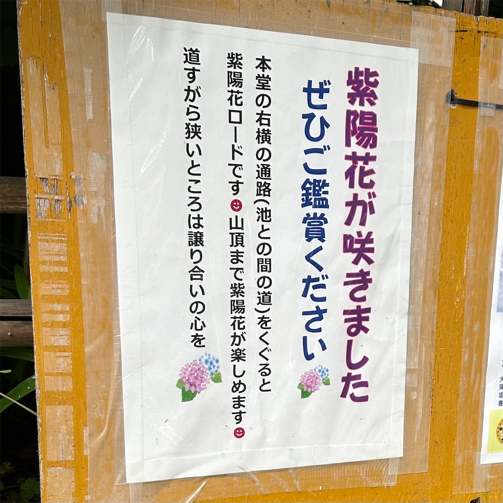 f:id:koshikakeol:20240610165652j:image