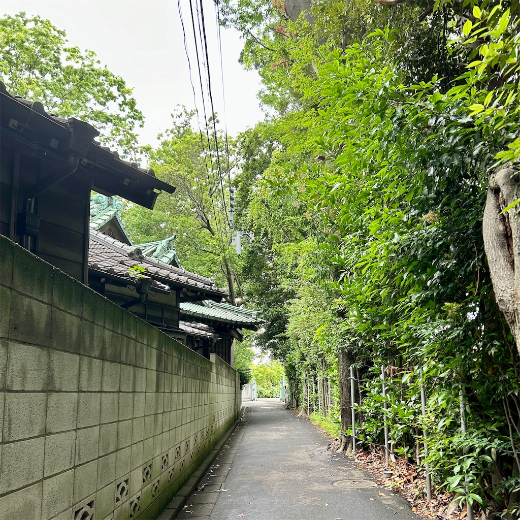 f:id:koshikakeol:20240610165701j:image