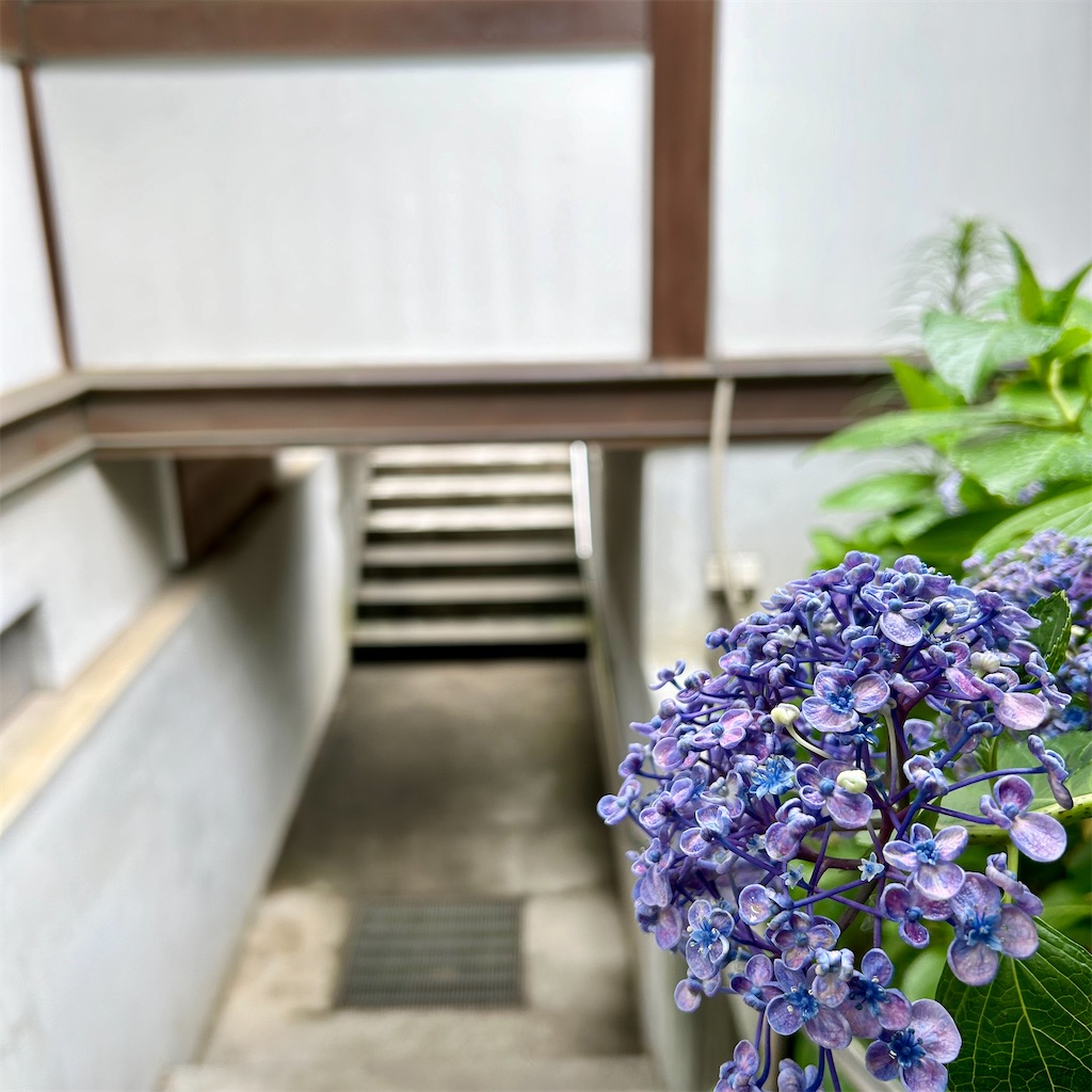 f:id:koshikakeol:20240610165703j:image