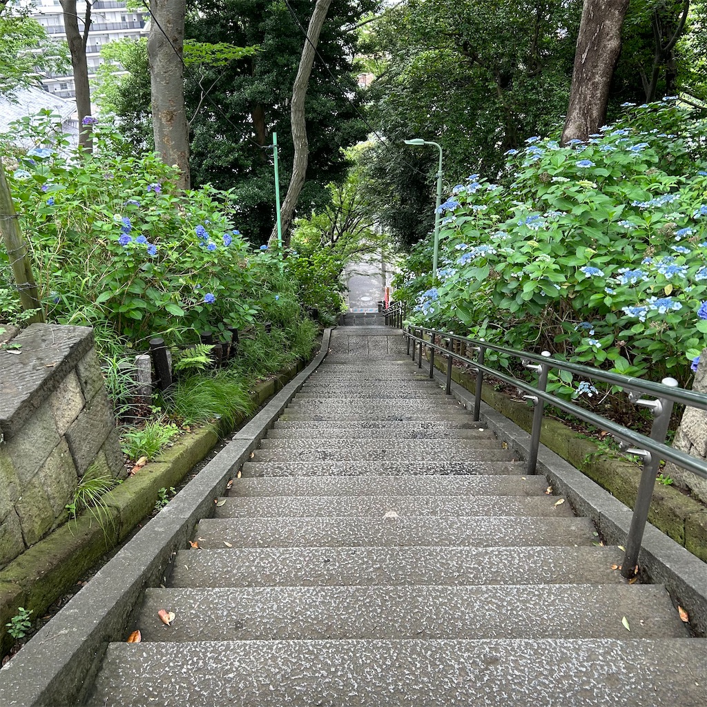 f:id:koshikakeol:20240610165720j:image