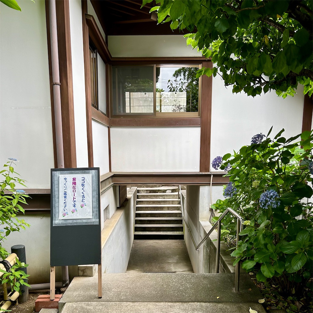 f:id:koshikakeol:20240610165723j:image