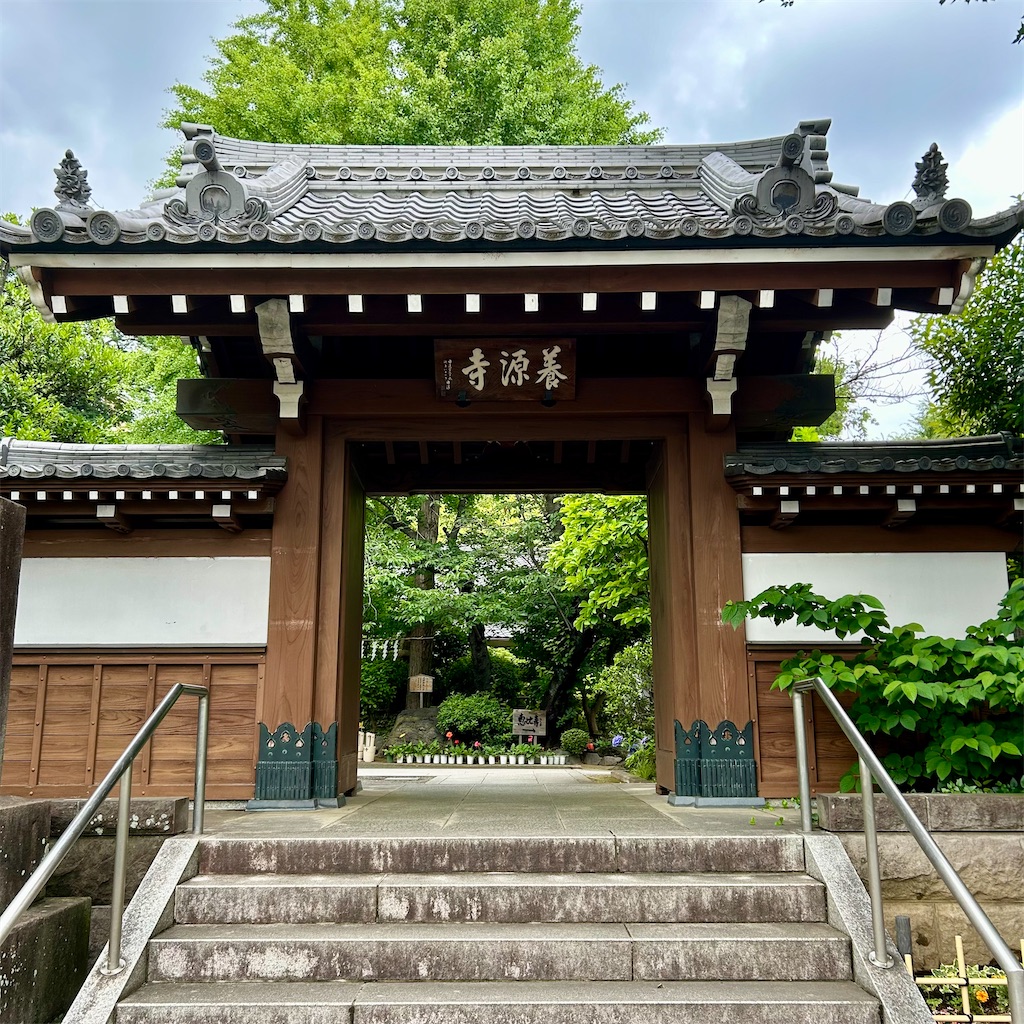 f:id:koshikakeol:20240610165725j:image