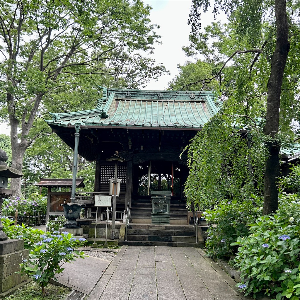 f:id:koshikakeol:20240610165733j:image
