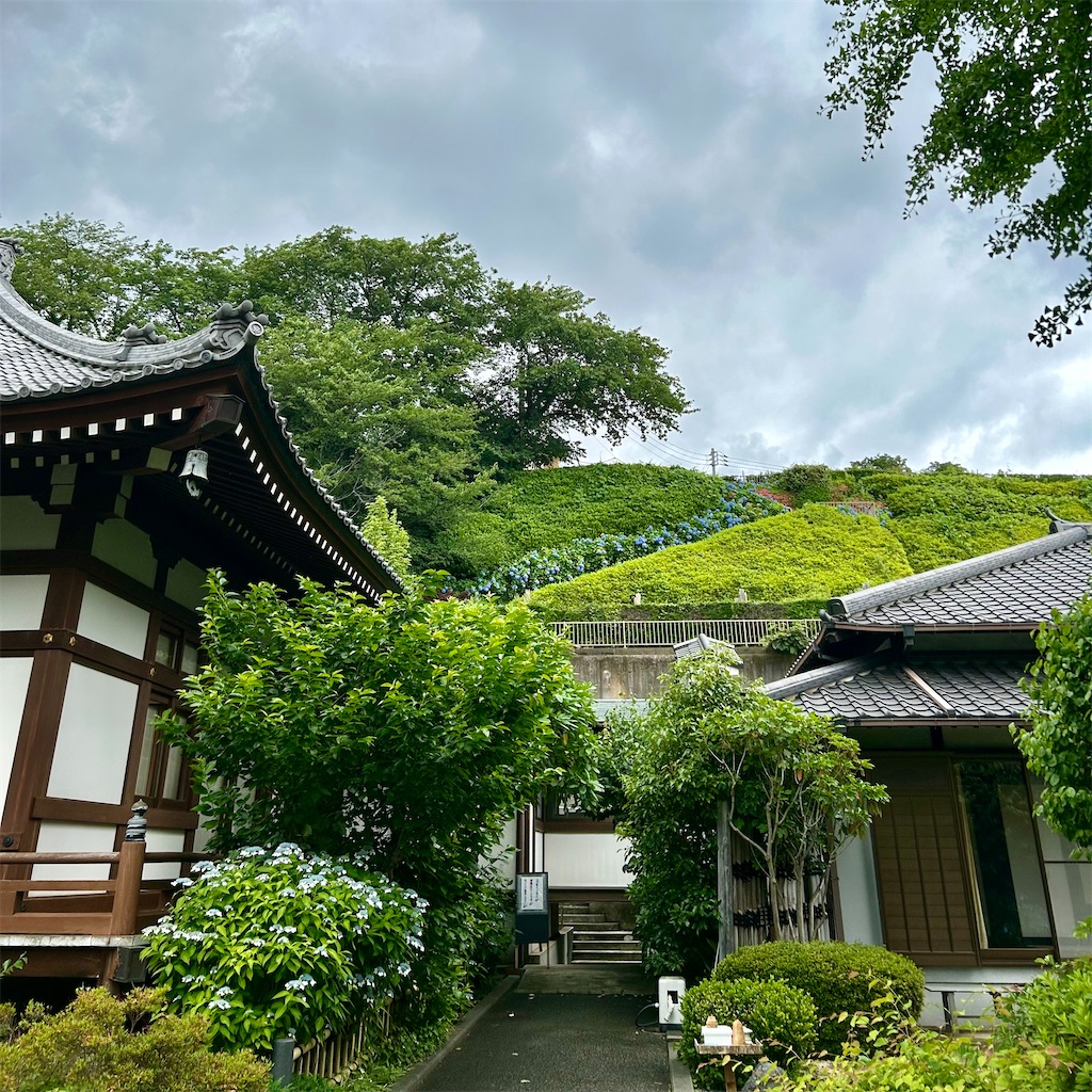 f:id:koshikakeol:20240610165747j:image