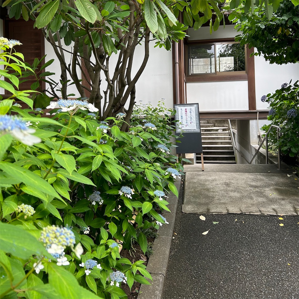 f:id:koshikakeol:20240610165907j:image