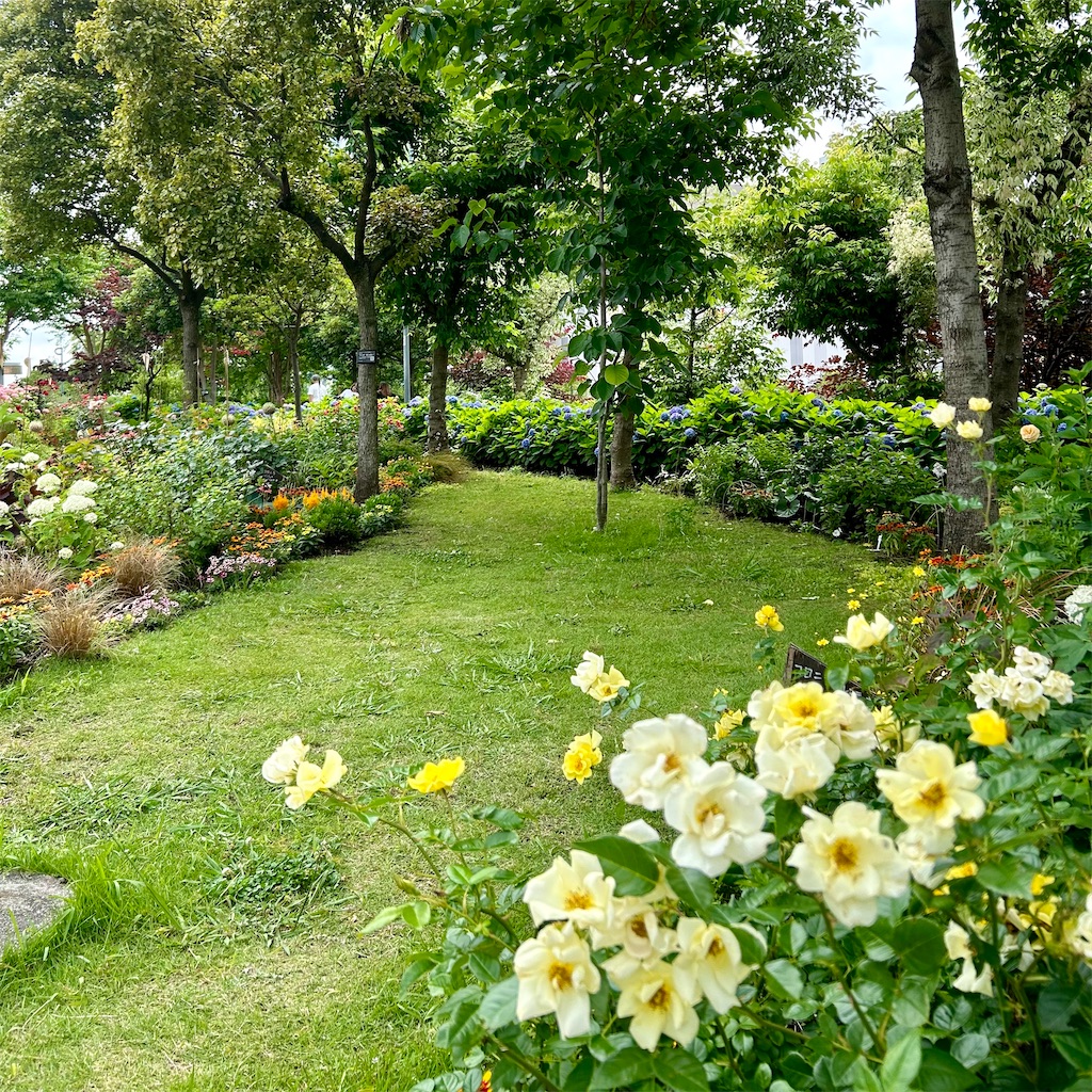 お台場「シンボルプロムナード公園」の紫陽花がスゴい！ - 平日腰掛け
