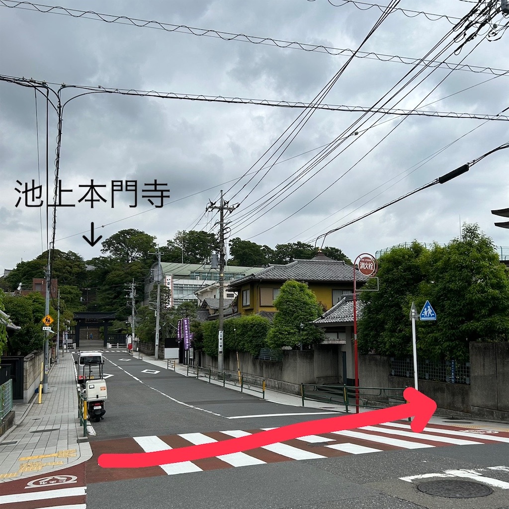 f:id:koshikakeol:20240610170608j:image