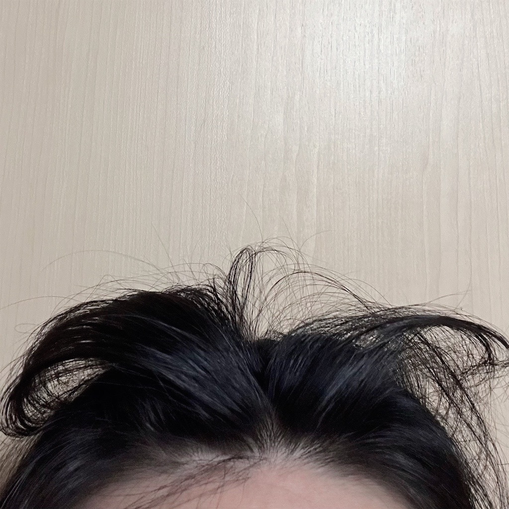 f:id:koshikakeol:20240611090120j:image