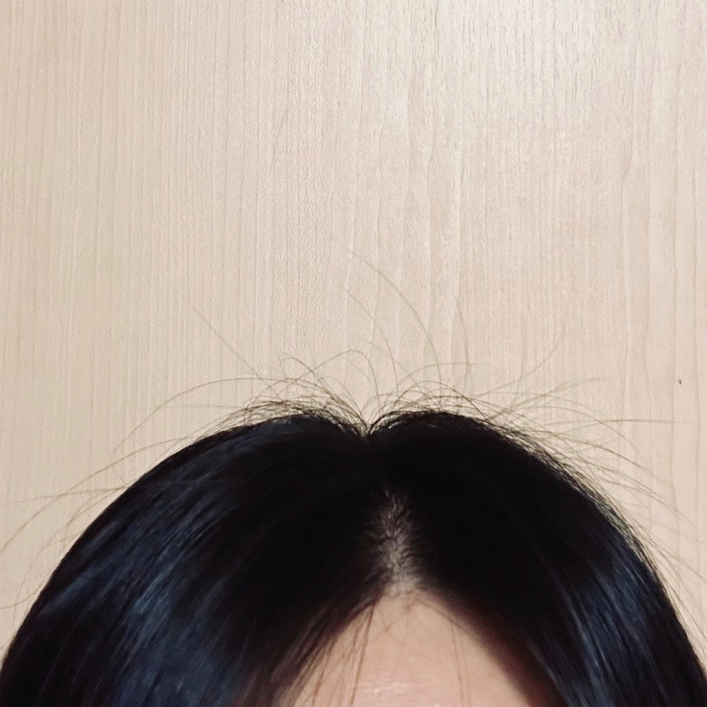 f:id:koshikakeol:20240611090123j:image