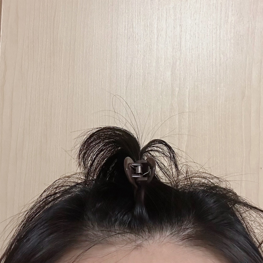 f:id:koshikakeol:20240611090125j:image