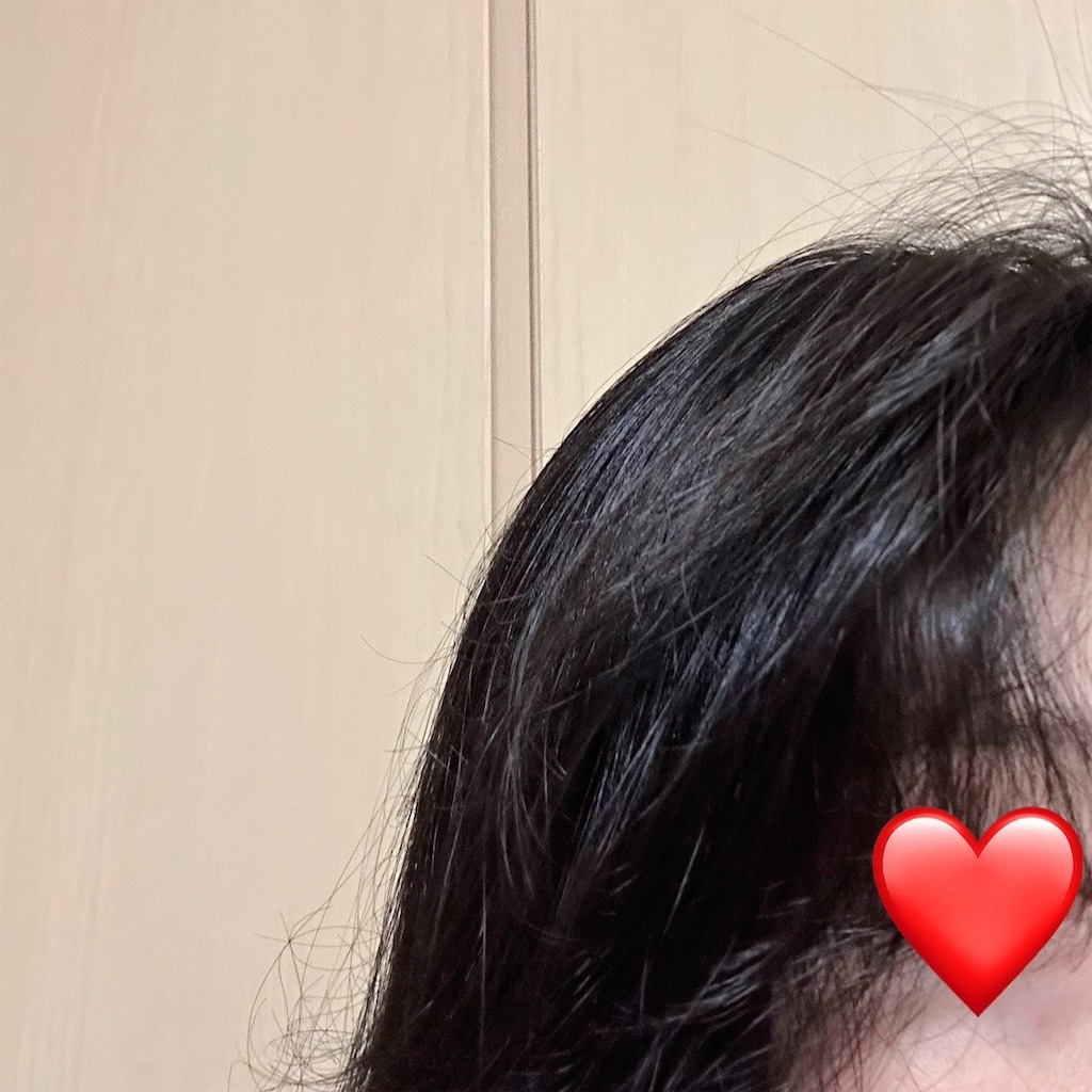 f:id:koshikakeol:20240611090131j:image