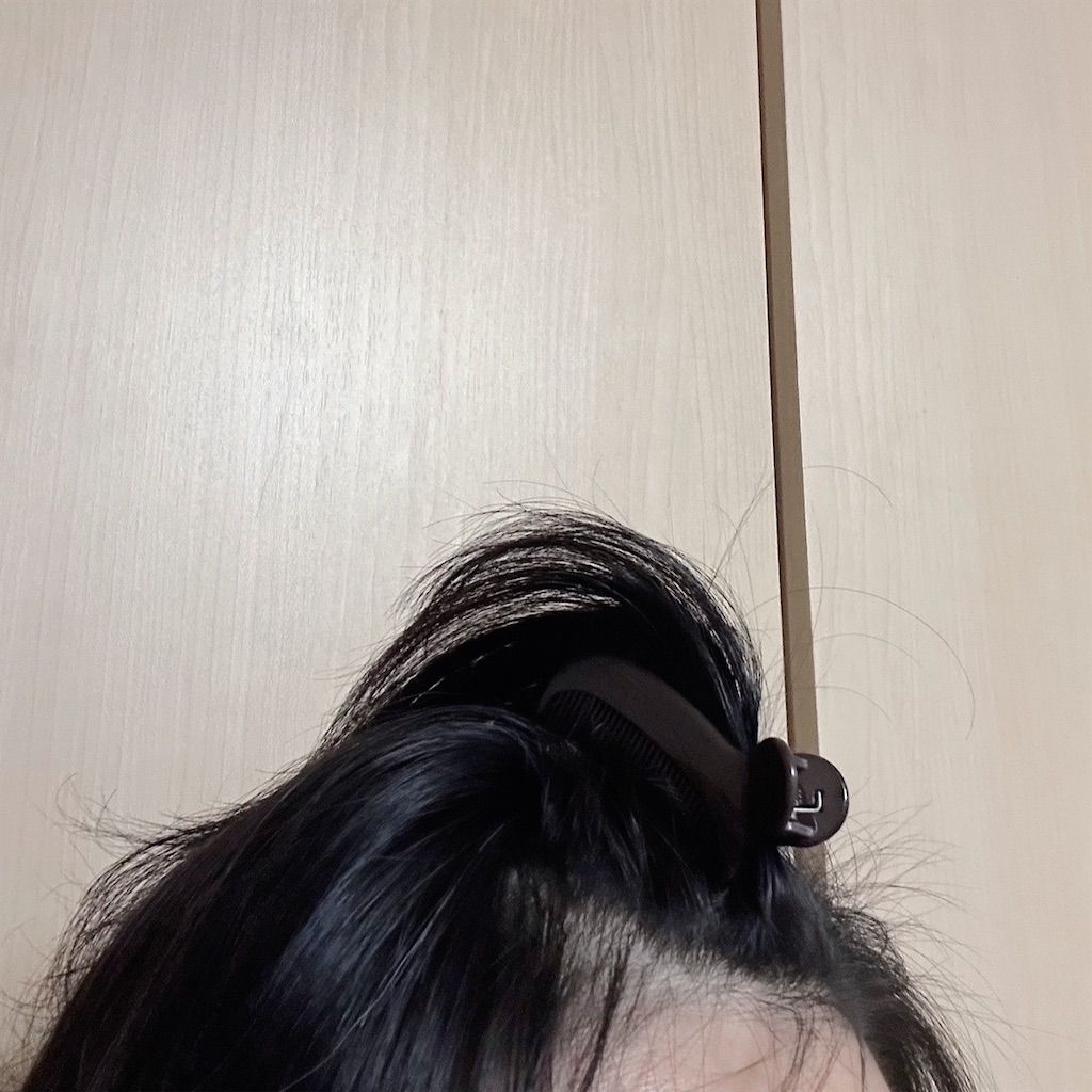 f:id:koshikakeol:20240611090134j:image