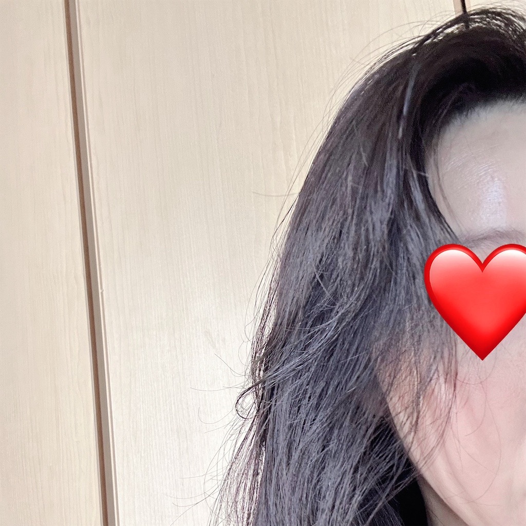 f:id:koshikakeol:20240611090212j:image