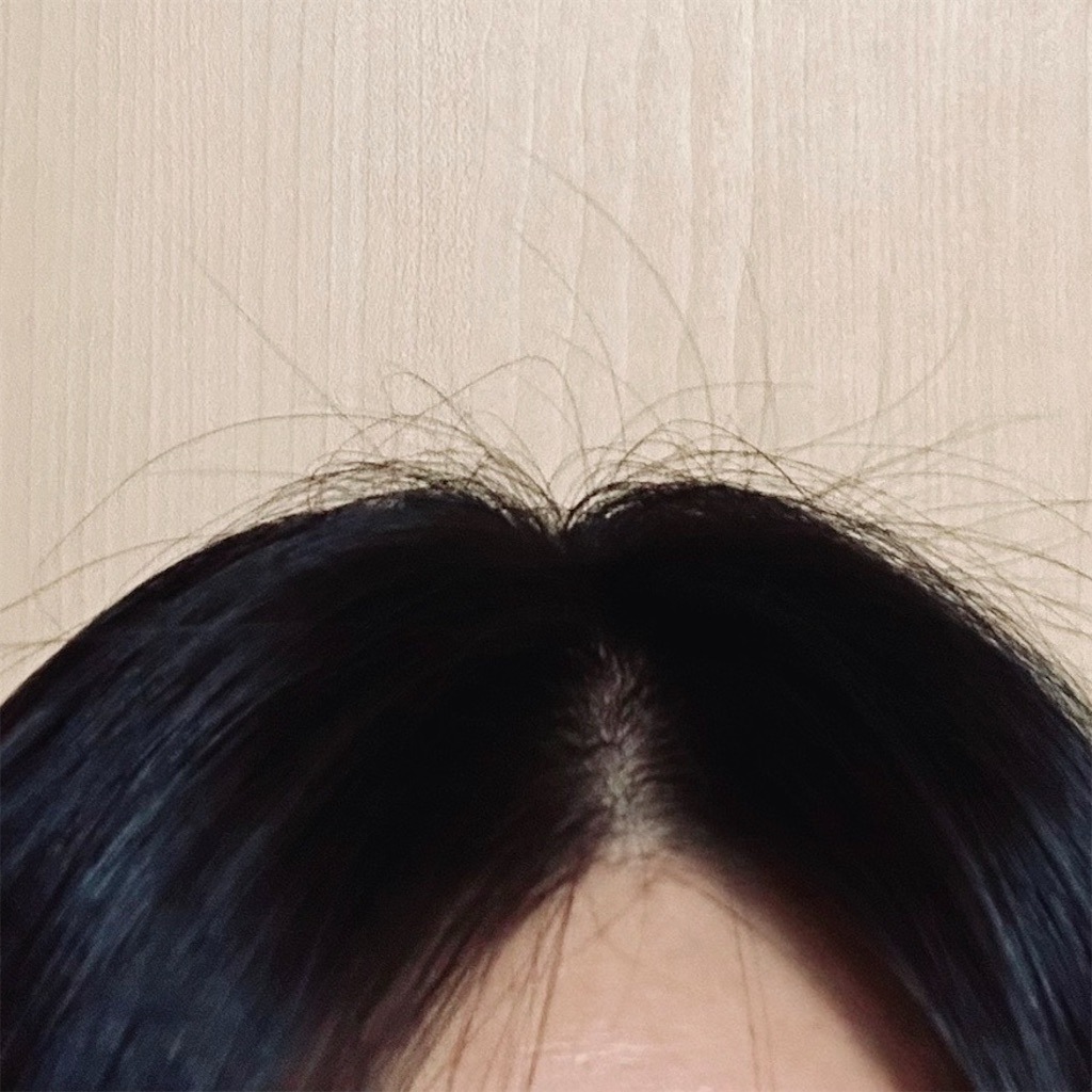 f:id:koshikakeol:20240611090341j:image