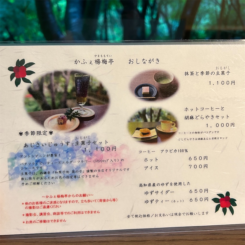 f:id:koshikakeol:20240621180903j:image