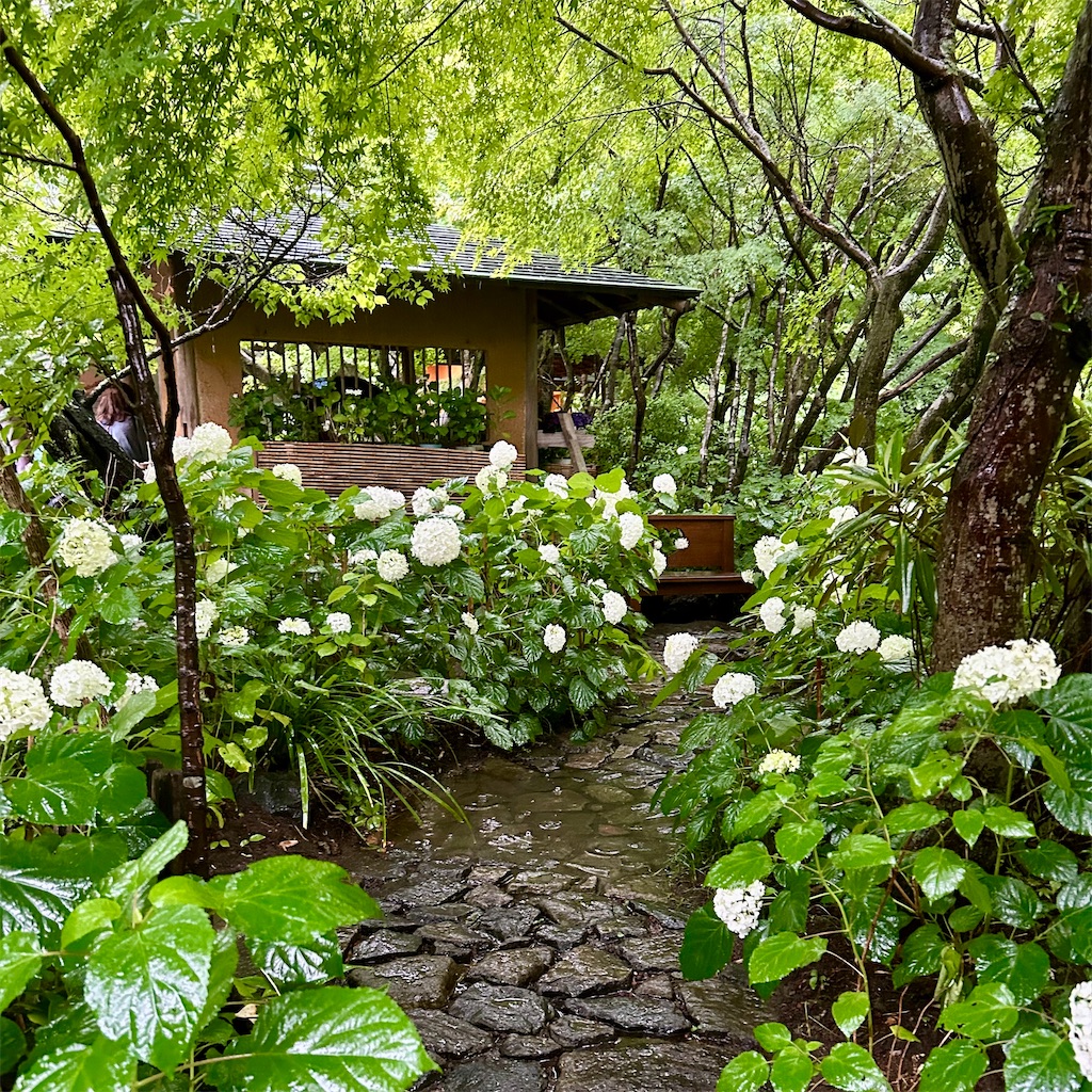f:id:koshikakeol:20240621181128j:image