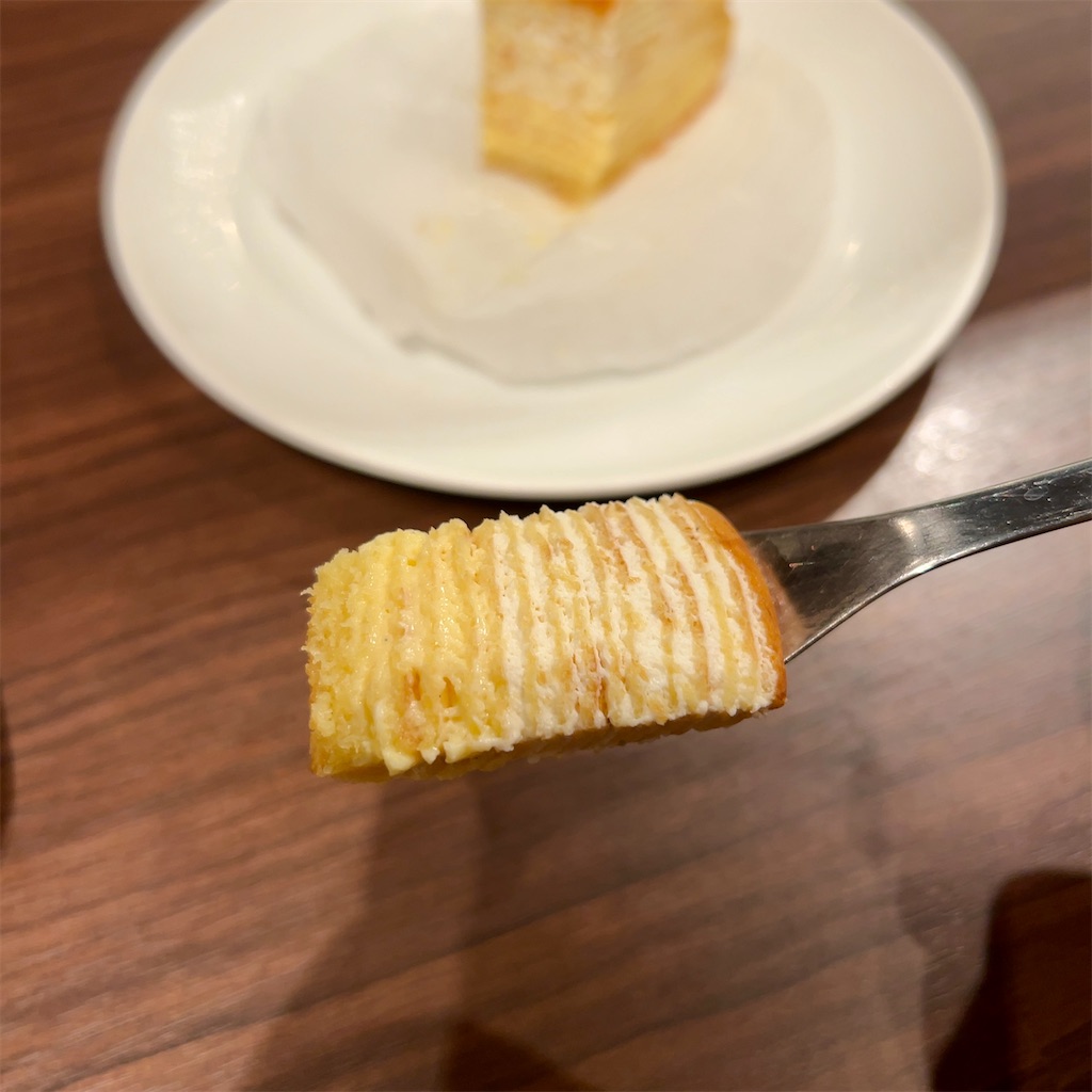 f:id:koshikakeol:20240623153340j:image