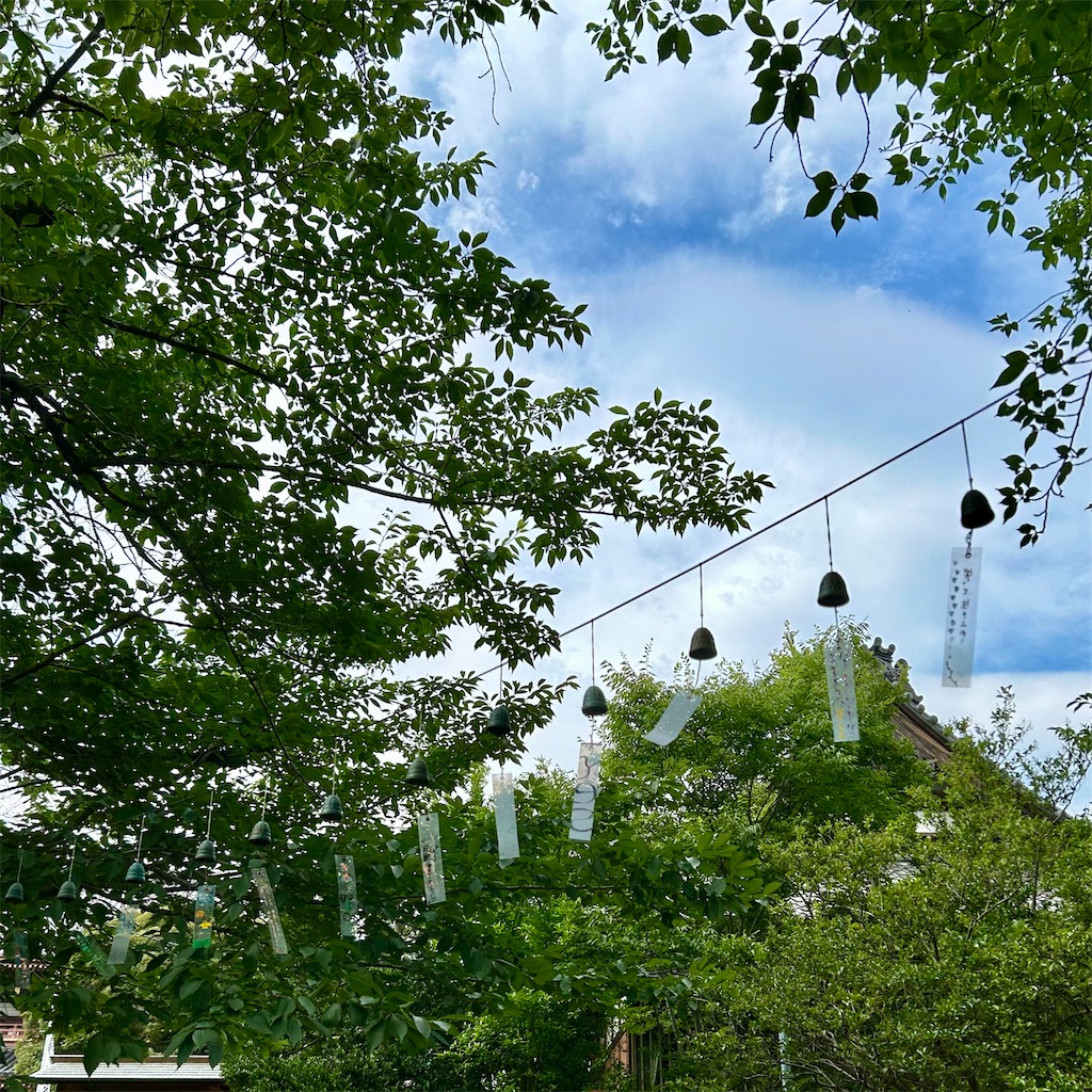 f:id:koshikakeol:20240713193754j:image