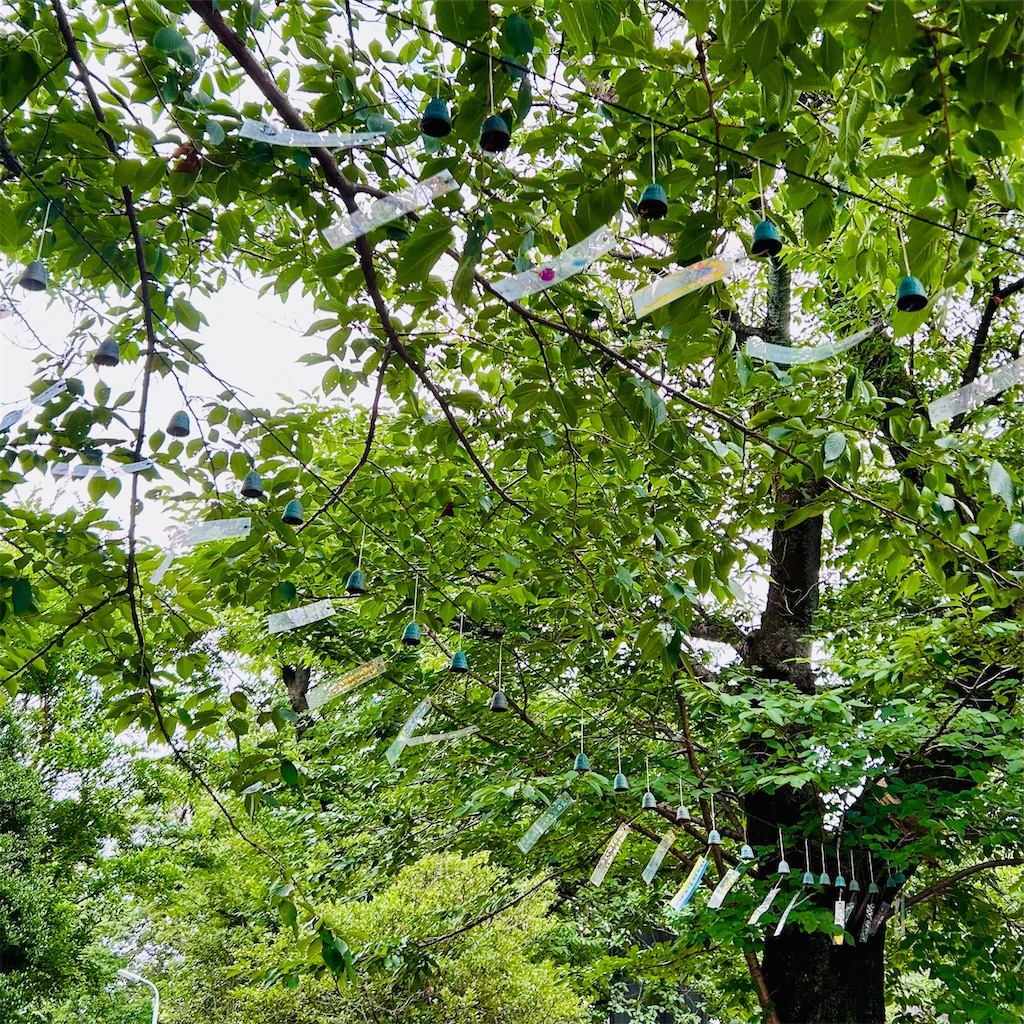 f:id:koshikakeol:20240713193807j:image