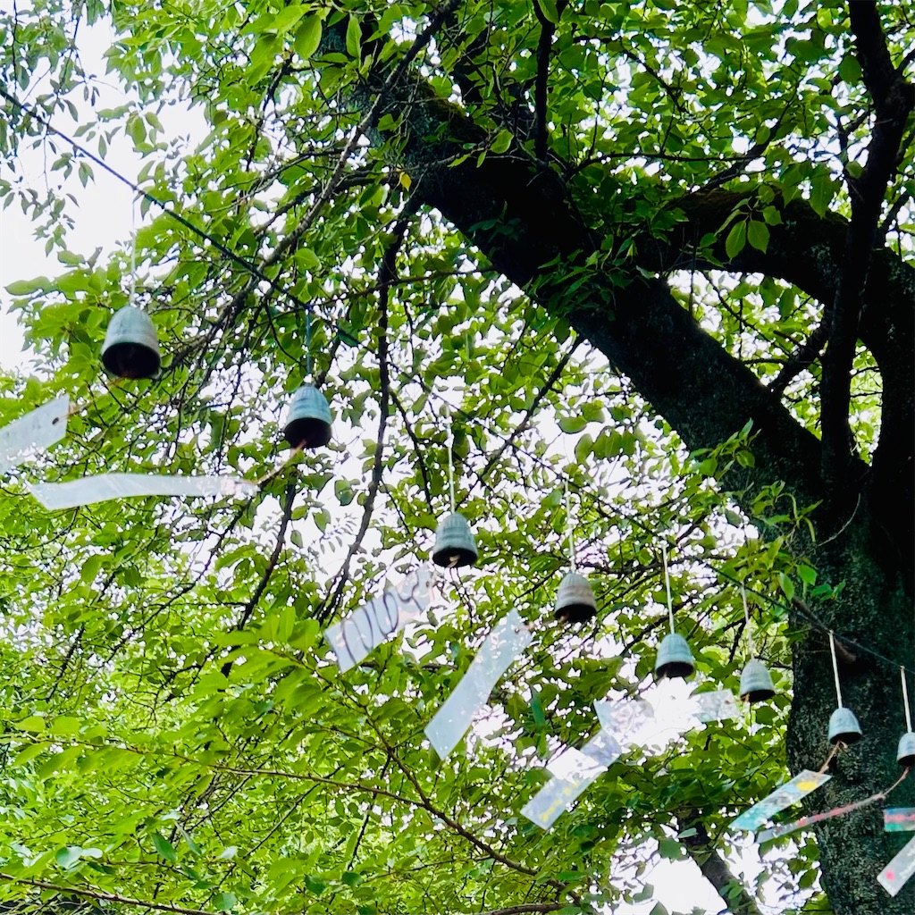 f:id:koshikakeol:20240713193827j:image