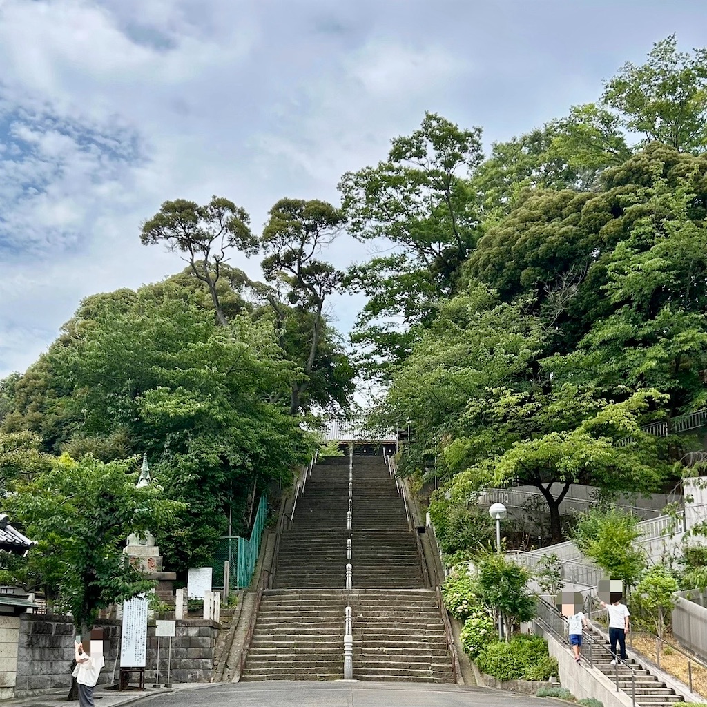 f:id:koshikakeol:20240713193843j:image