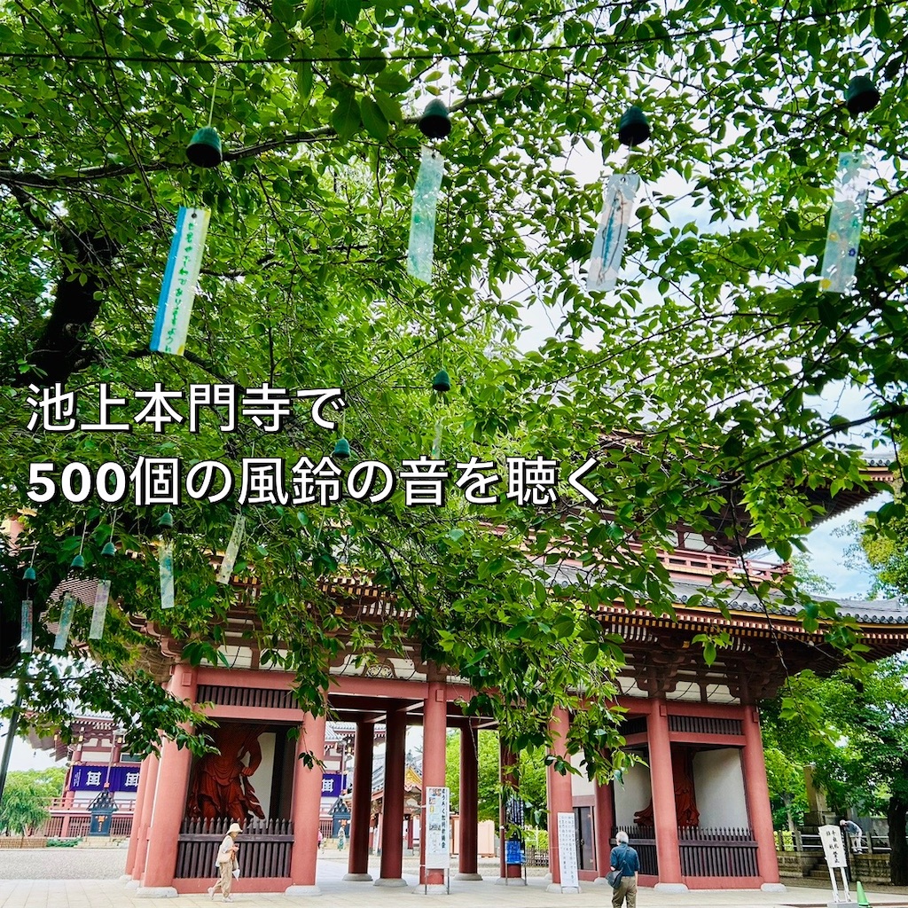 f:id:koshikakeol:20240714151838j:image