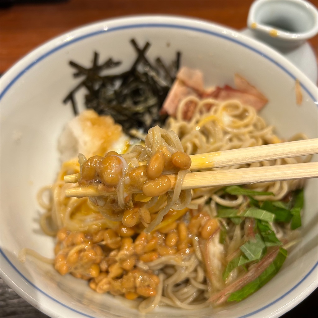 f:id:koshikakeol:20241127170333j:image
