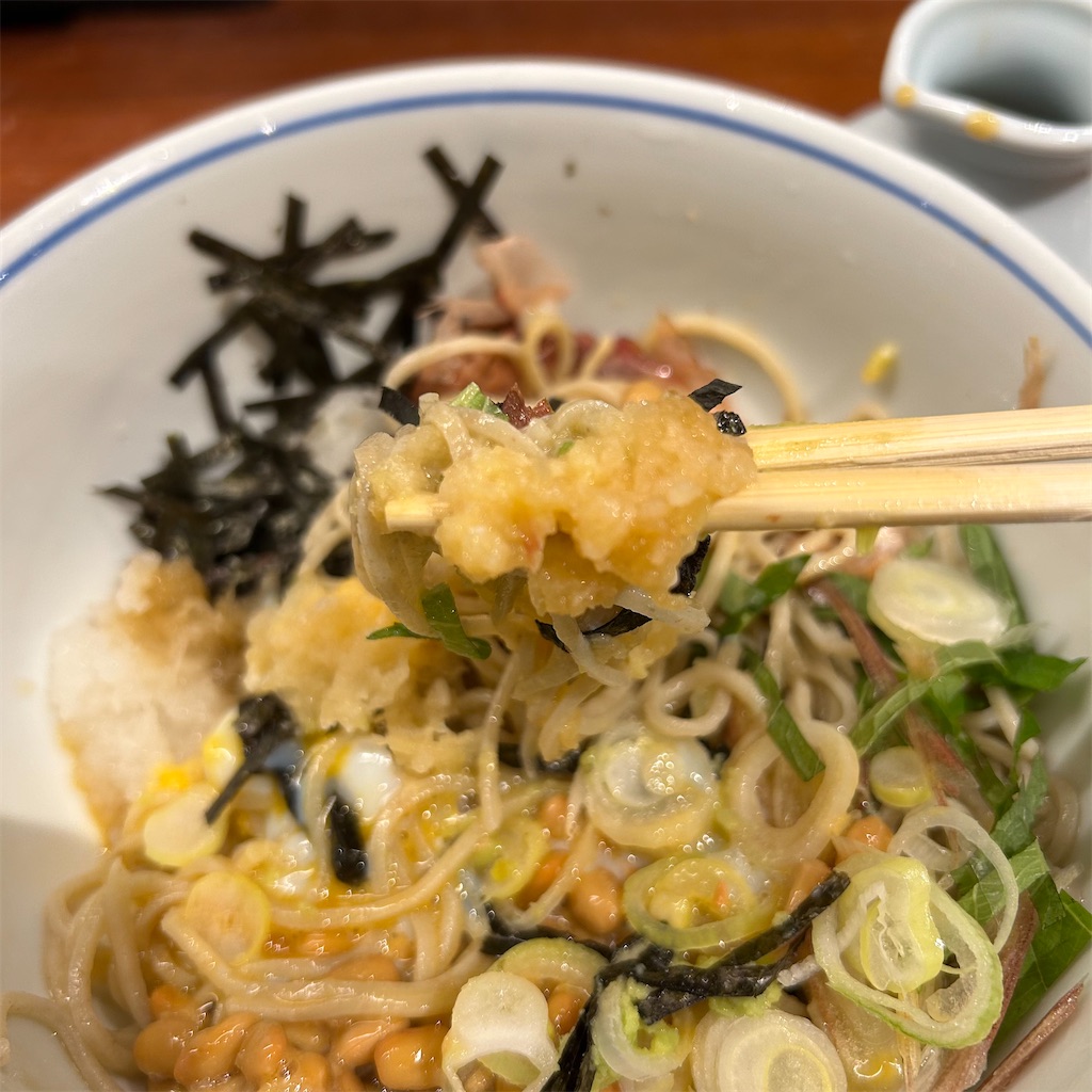 f:id:koshikakeol:20241127170603j:image