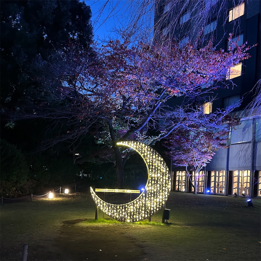 f:id:koshikakeol:20241206102538j:image