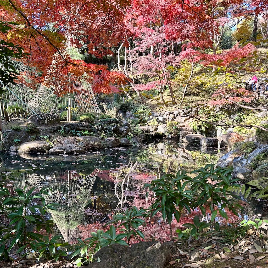 f:id:koshikakeol:20241206102719j:image