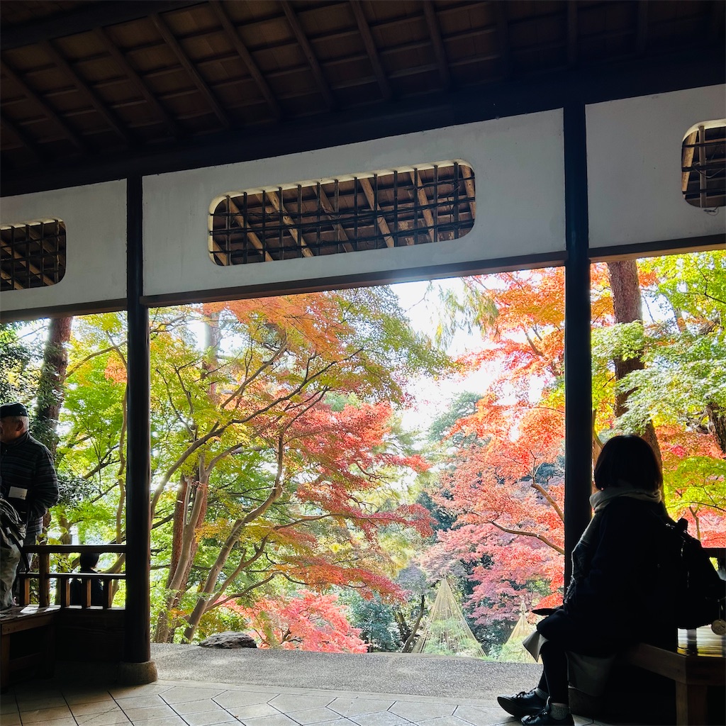 f:id:koshikakeol:20241206102742j:image
