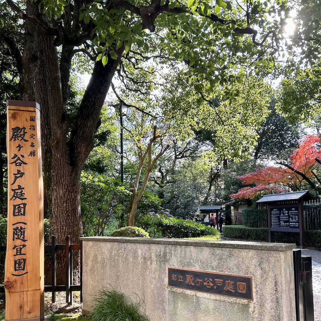 f:id:koshikakeol:20241206103024j:image