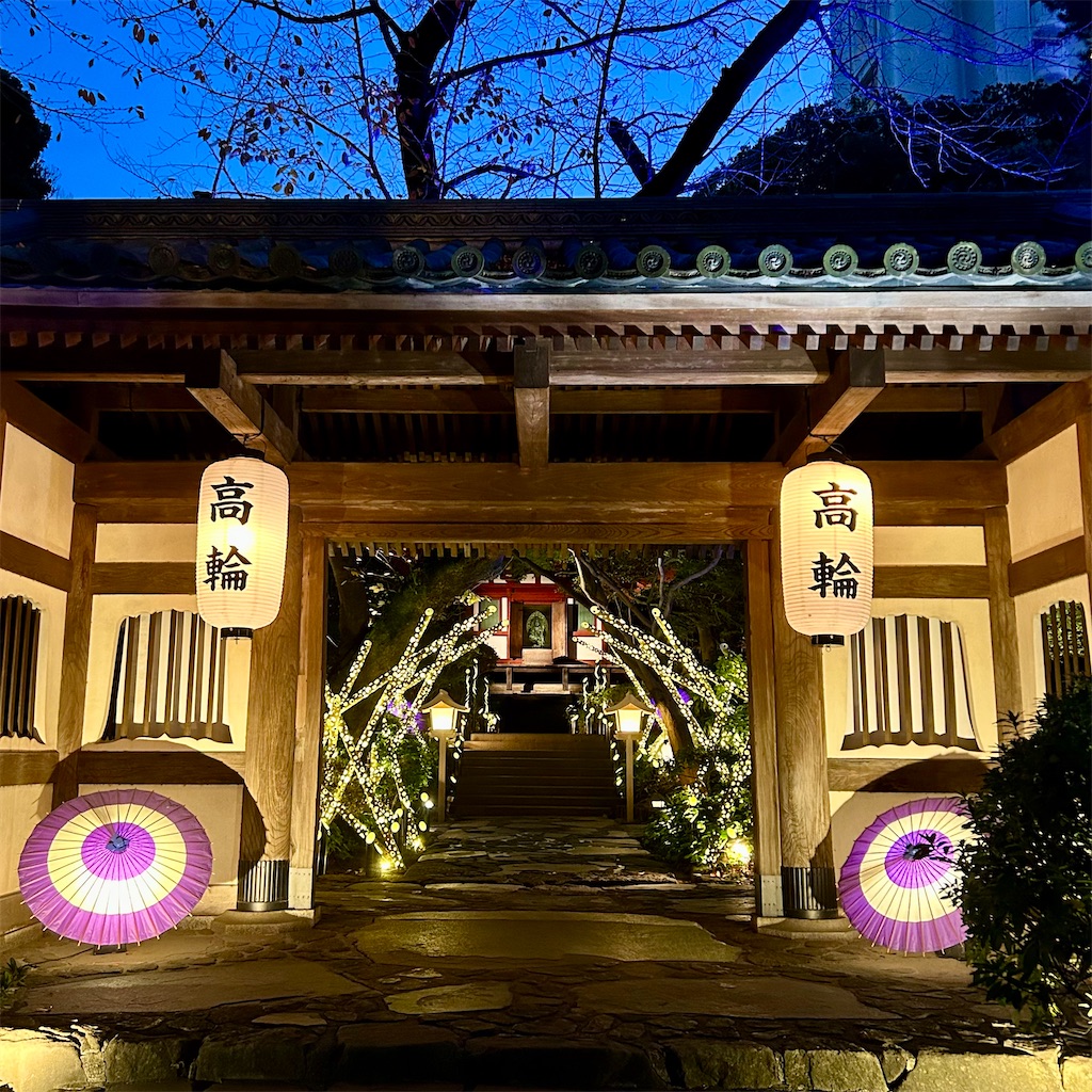 f:id:koshikakeol:20241206125653j:image