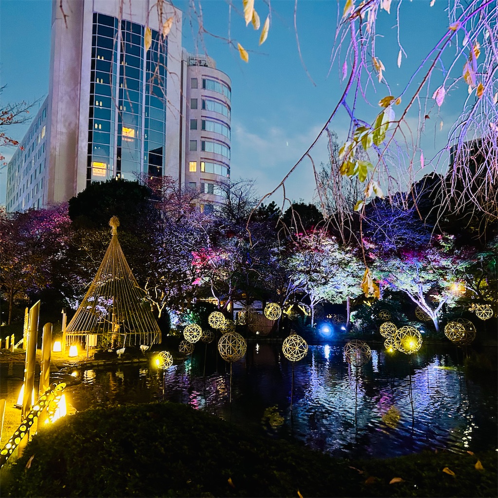 f:id:koshikakeol:20241206125708j:image